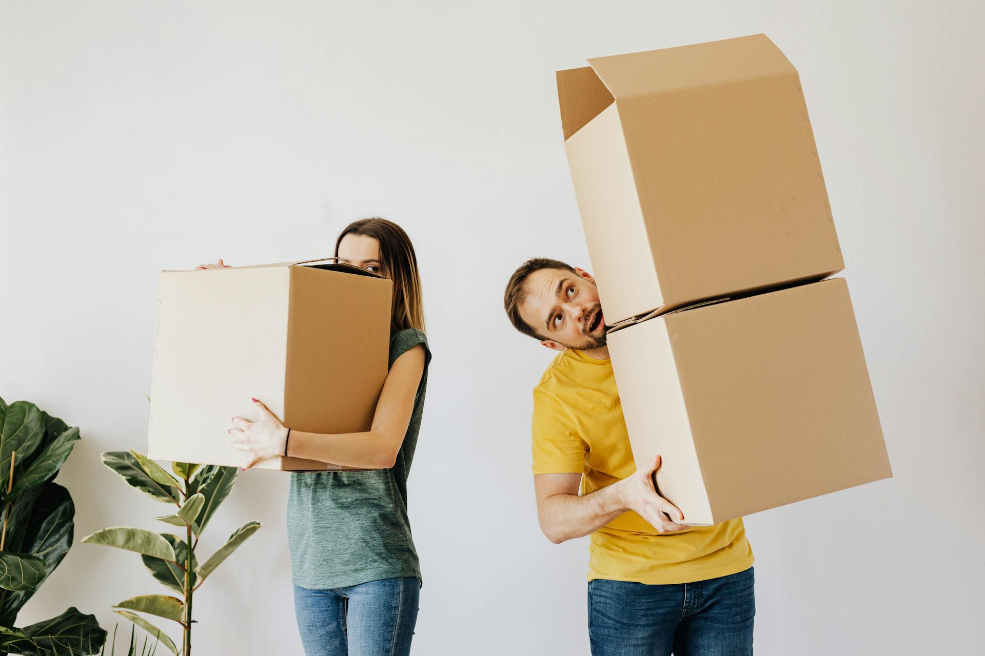 Reston moving services insurance