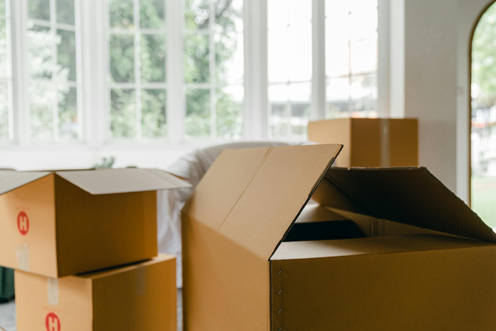 expert packing solutions in Arlington
